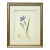 Antique Original Floral Watercolor Botanical Painting Titled "Beautiful Lilly" in Calligraphy 19th /Century For Sale