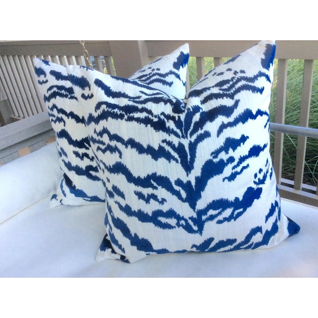 Absolutely-totally-and altogether stunningly gorgeous!!! This rich velvet features royal blue tiger stripes on an off...