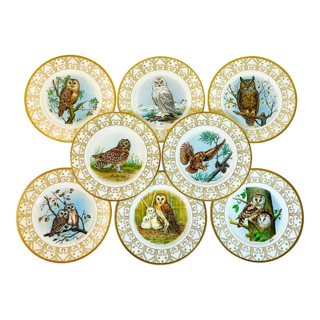 1980 Vintage Arts & Crafts English Bone China Owl Dinner Plates -Set of 8. For Sale