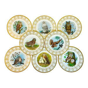 1980 Vintage Arts & Crafts English Bone China Owl Dinner Plates -Set of 8