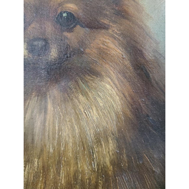 Late 19th Century Small Antique 19th Century Oil Painting Portrait of a Pomeranian Dog For Sale - Image 5 of 14