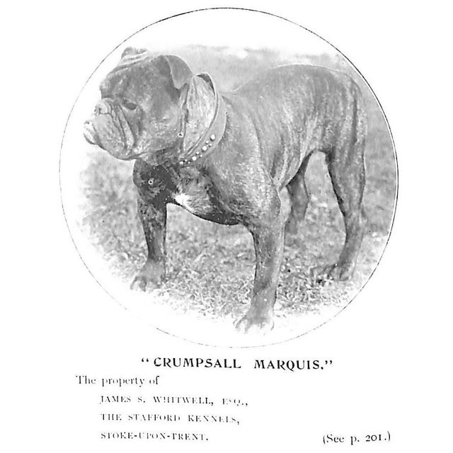 COOPER, H. St. John [318] pp. Jarrold & Sons 1905 7 1/4" x 5" Originally published in 1905, this extremely rare early work...