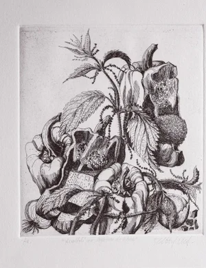 Angela Occhipinti, Vultures with Nettle Binding: Author's Proof, 1950, Engraving