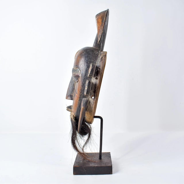 Brown Early 20th Century Djimini Ligbi Do Society Mask on Custom Stand Côte d'Ivoire For Sale - Image 8 of 13