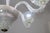 1950s 6 Light Rostrato Murano Glass Chandelier by Barovier & Toso For Sale - Image 10 of 15