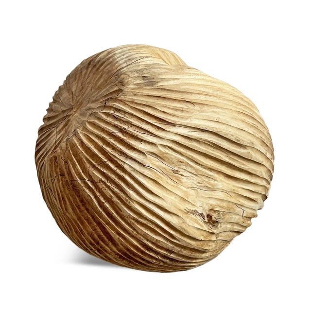 Teak Root Ball Art For Sale - Image 4 of 7