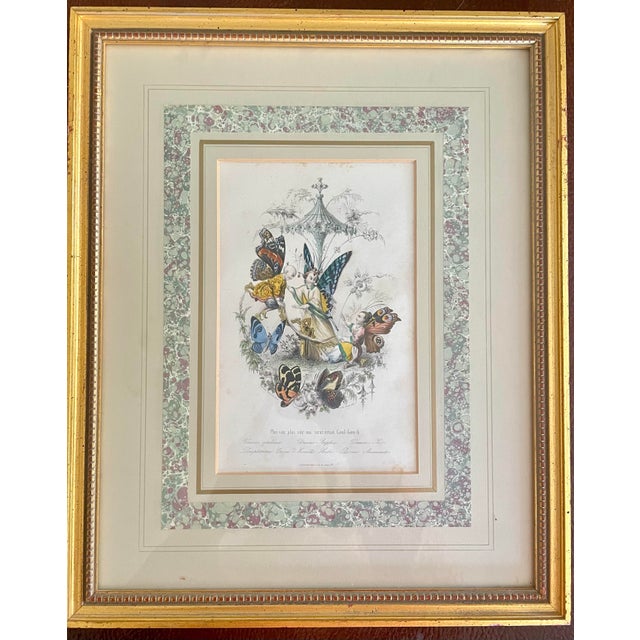 Mid 19th Century “Les Fleurs Animées” Original Hand-Painted Antique French Lithographs 1846, Set of 6, Framed For Sale - Image 6 of 12