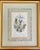 Mid 19th Century “Les Fleurs Animées” Original Hand-Painted Antique French Lithographs 1846, Set of 6, Framed For Sale - Image 6 of 12