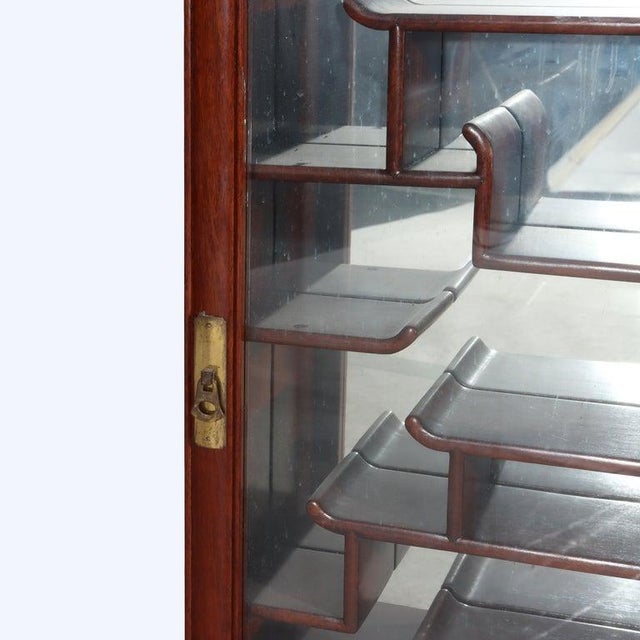 Antique Chinese Mahogany Netsuke Enclosed Display Cabinet C1930 For Sale - Image 6 of 14