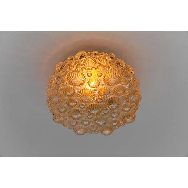 Gold Mid-Century Modern Round Amber 3D Fossil Shell-Shaped Flush Mount, 1960s For Sale - Image 8 of 9