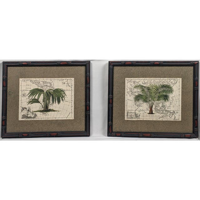 English Set of 4 Framed Green Botanical Palm Prints on Antique Maps – Ralph Lauren Style For Sale - Image 3 of 14
