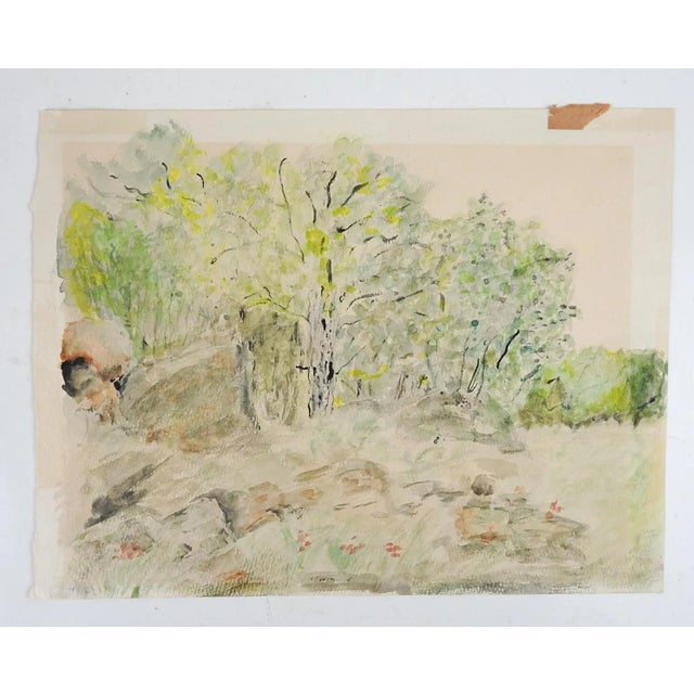 Vintage mid 20th century watercolor on paper impressionist forest meadow landscape painting. Unsigned. Unframed, age...