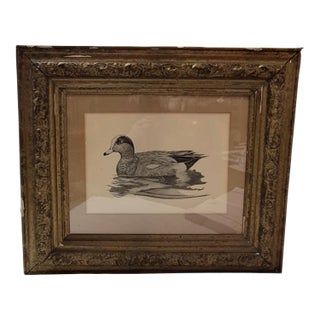 1980s American Wigeon by Fran Hulick For Sale