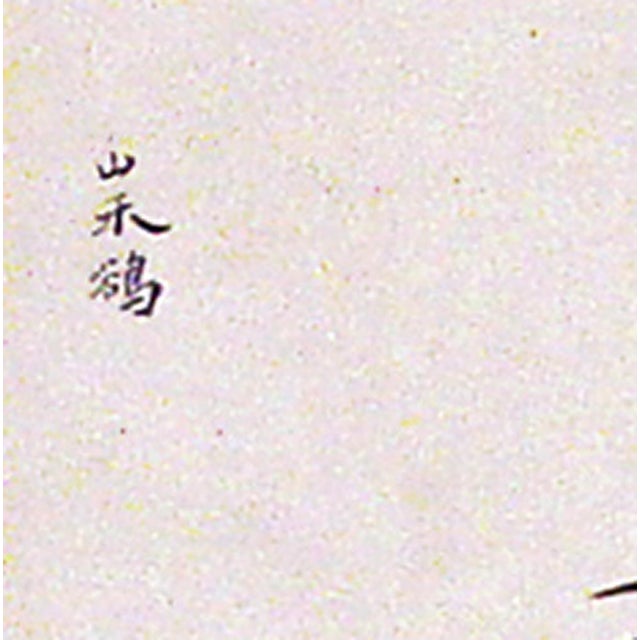 Green Pair of Chinese Export Bird Watercolors, Canton Natural History Paintings For Sale - Image 8 of 8