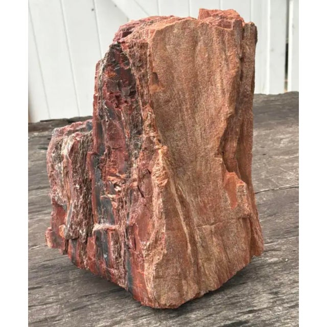 Petrified Wood Sculpture, Organic Modern Design, #2 For Sale - Image 13 of 13