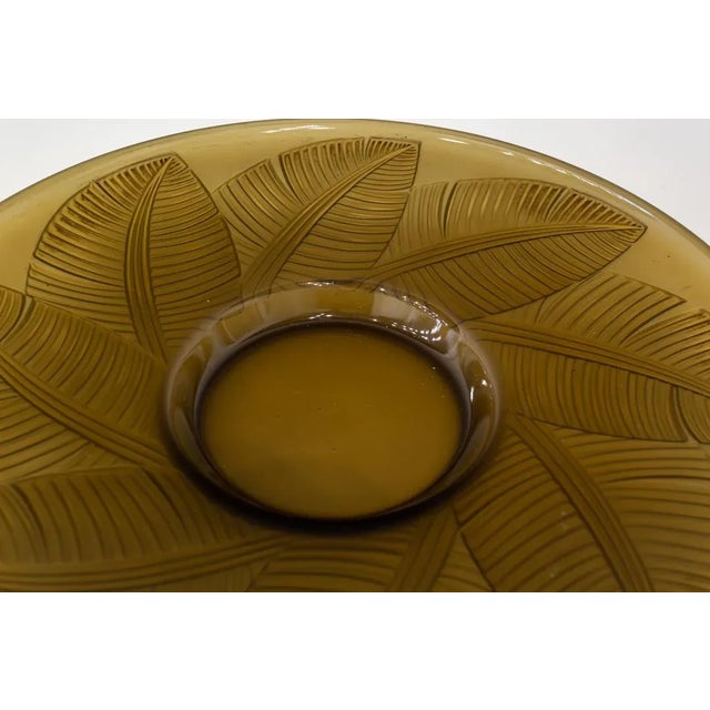 Large dish molded in transparent honey-colored glass. Decoration in relief of large leaves running along the eaves. Base...