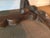 1810 Baroque Refectory Table For Sale - Image 9 of 10