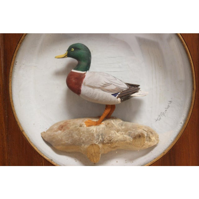 Traditional Mid 20th Century William (Bill) H Reinbold (1926-2018) Mallard Decoy Diorama For Sale - Image 3 of 3
