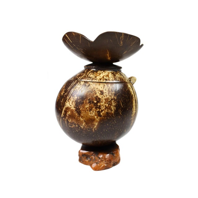 Vintage Handmade Natural Coconut Shell Lidded Box Display on Wooden Base For Sale - Image 13 of 13