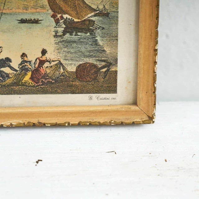 Vintage print by G. Cristini INC, marine life.