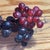 Realism Realism Oil Painting of Grapes Hanging on a Rope by Andrew Schuler Guerin For Sale - Image 3 of 5