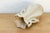 Butterfly Handle Celadon Craze Vase For Sale - Image 4 of 7