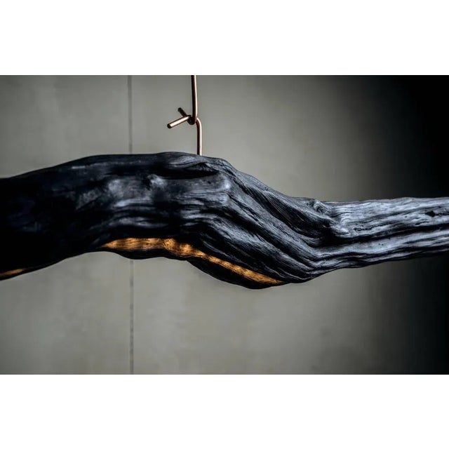 Wood Burning Ego Light Suspension by Wim Verzantvoort For Sale - Image 7 of 13