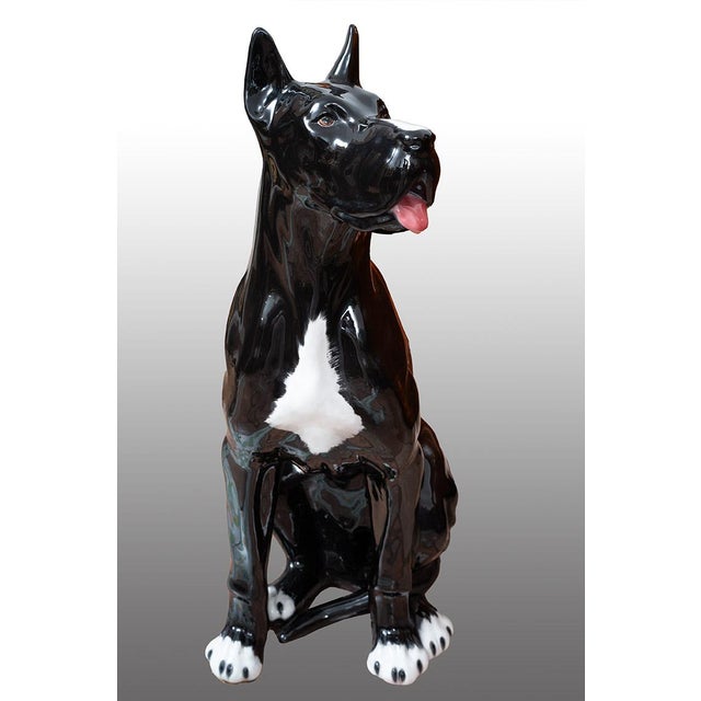 Wood Unknown, Sculpture Depicting a Sitting Great Dane, 1800s, Porcelain and Cane For Sale - Image 7 of 7