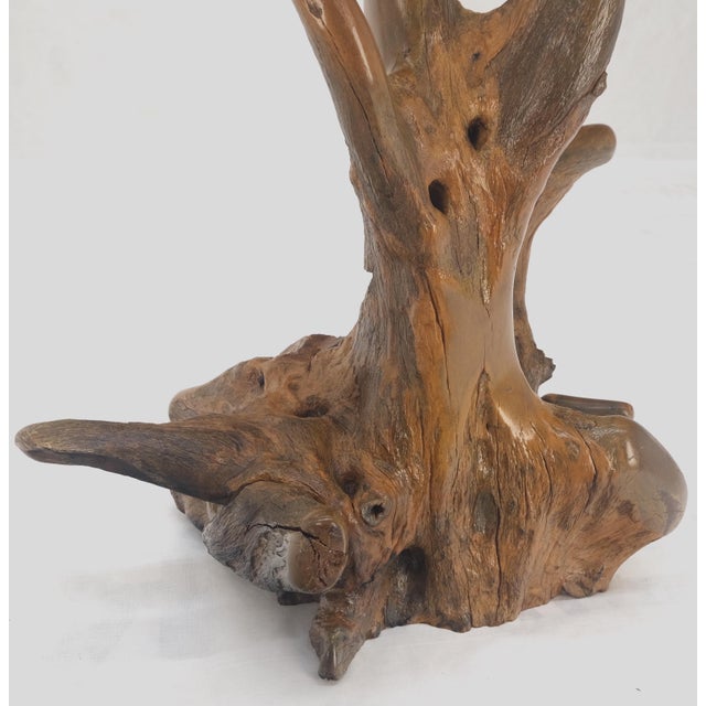 Large 25" Tall Artist Signed Driftwood Root Burl Wood Natural Sculpture