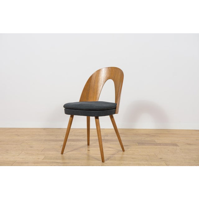 1960s Mid-Century Oak Dining Chairs by Antonín Šuman for Tatra Nábytok, Czechoslovakia, 1960s, Set of 6 For Sale - Image 5 of 18