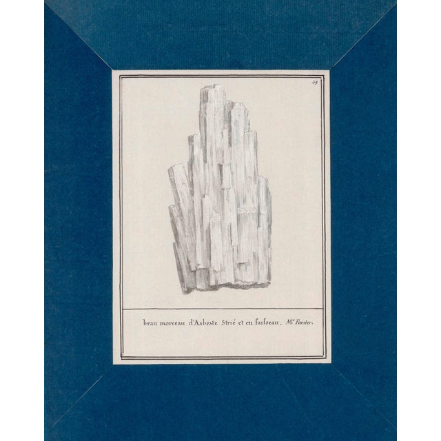 Reproduction Antique Mineral Specimen Folio Prints | Set of 12 | 16" X 20" For Sale - Image 11 of 11