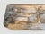 Andrianna Shamaris Rare Petrified Wood Log Bench For Sale - Image 14 of 18