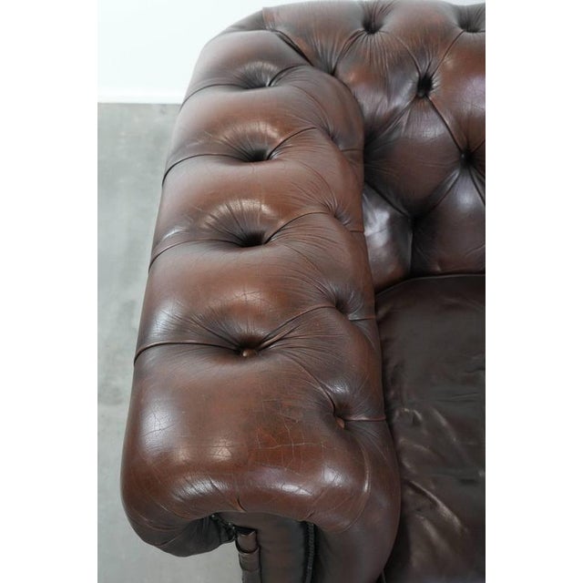 Animal Skin Vintage Chesterfield Two-Seater Sofa in Dark Brown Cowhide For Sale - Image 7 of 18
