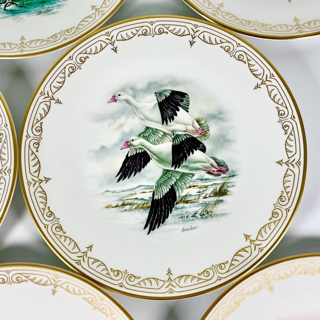 1980 Vintage Arts & Crafts English Bone China Water Fowl Birds Dinner Plates -Set of 8, Thanksgiving For Sale - Image 12 of 18