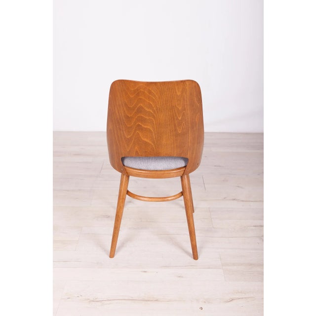 Model Lollipop Dining Chairs from Tatra, 1960s, Set of 4 For Sale - Image 12 of 17