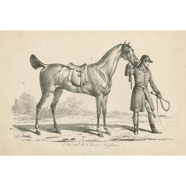 Horse Used for Hunting in England, 1890s, Paper For Sale - Image 3 of 6