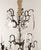1960s French Vintage Louis XV–Style Bronze and Crystal Chandelier For Sale - Image 5 of 10
