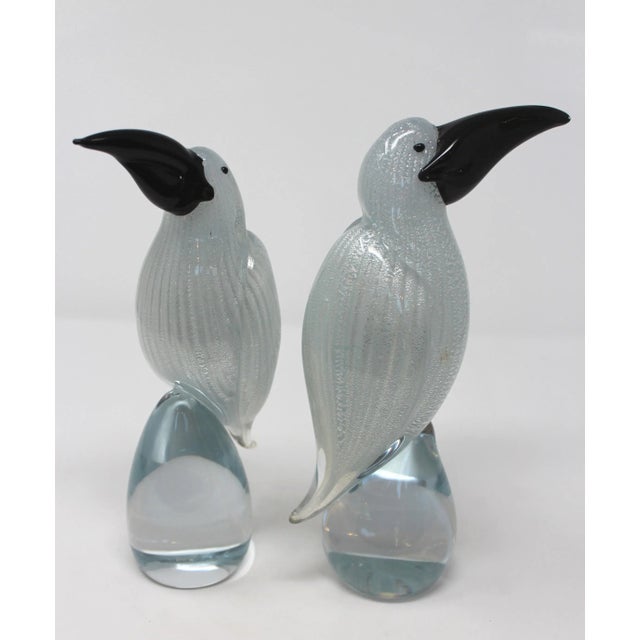 2010s Murano Glass Toucans by Beltrami For Sale - Image 5 of 6