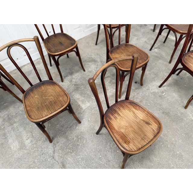 1930s Bistro Chairs from Fischel, 1930s, Set of 10 For Sale - Image 5 of 8