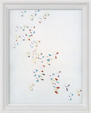 Kono Butterflies 16, Framed Artwork