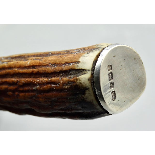 1900 - 1909 Antique Sterling Silver & Natural Stag Horn Magnifying Glass Hallmarks For Sale - Image 5 of 8