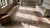 Textile Transcendental Light Blue and Beige Color With Floral Design Antique Agra Rug For Sale - Image 7 of 8