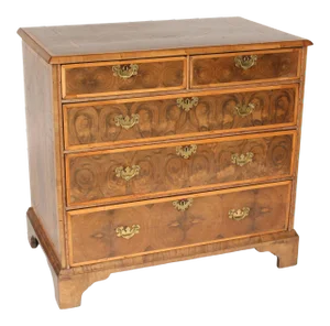 Antique Georgian Oyster Burl Chest of Drawers