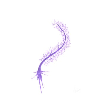 "Root" Contemporary Original Minimalist Ink Drawing on Acid Free Paper by CL Auker For Sale