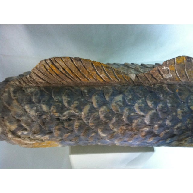 Early 20th Century Lucky Fish Carving For Sale In Chicago - Image 6 of 13