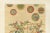 Japanese Floral Motifs on Golden Background, 1880s, Paper For Sale - Image 5 of 10