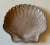 Ceramic Vintage Seaside Chic Terra Cotta Shell Shaped Trinket Dish For Sale - Image 7 of 7