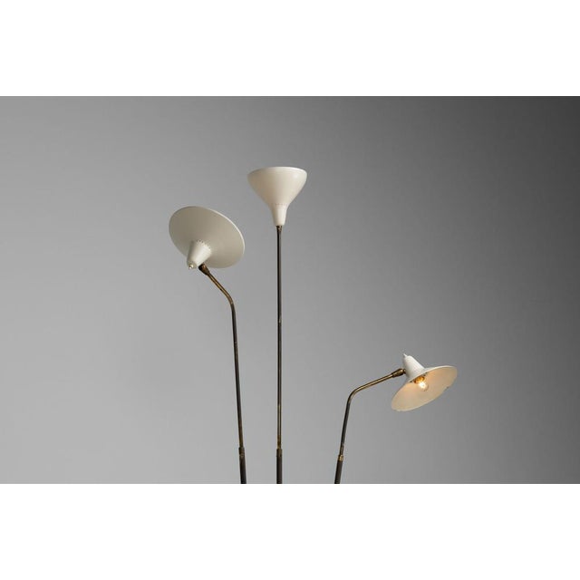 Model 339 Floor Lamp by Giuseppe Ostuni for Oluce, Italy, 1955 For Sale - Image 4 of 18