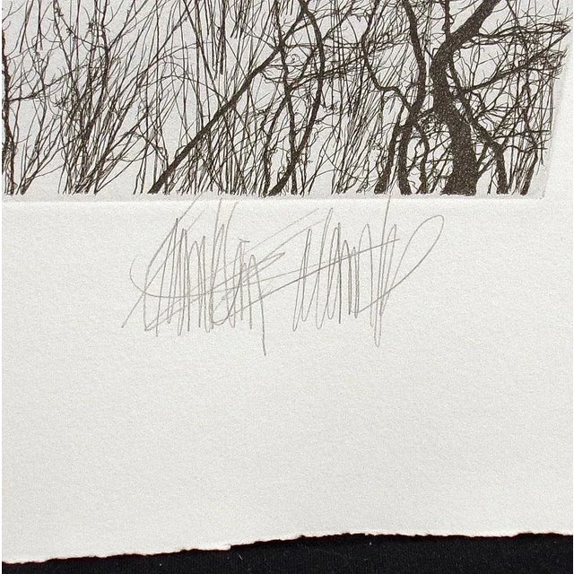 Franklin Galambos "Distant Mistic" Hand Tinted & Signed Art Etching For Sale In Denver - Image 6 of 7