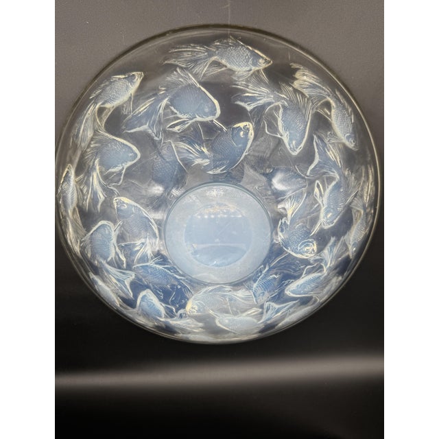 1920s Cyprins Cup from R. Lalique, 1921 For Sale - Image 5 of 11